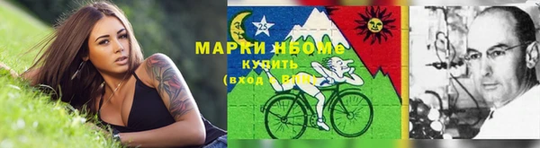 шишки Горняк