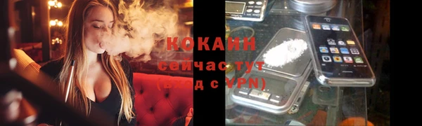 стафф Гусь-Хрустальный