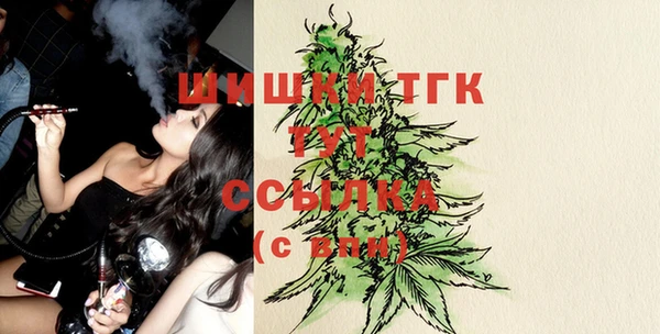 стафф Гусь-Хрустальный